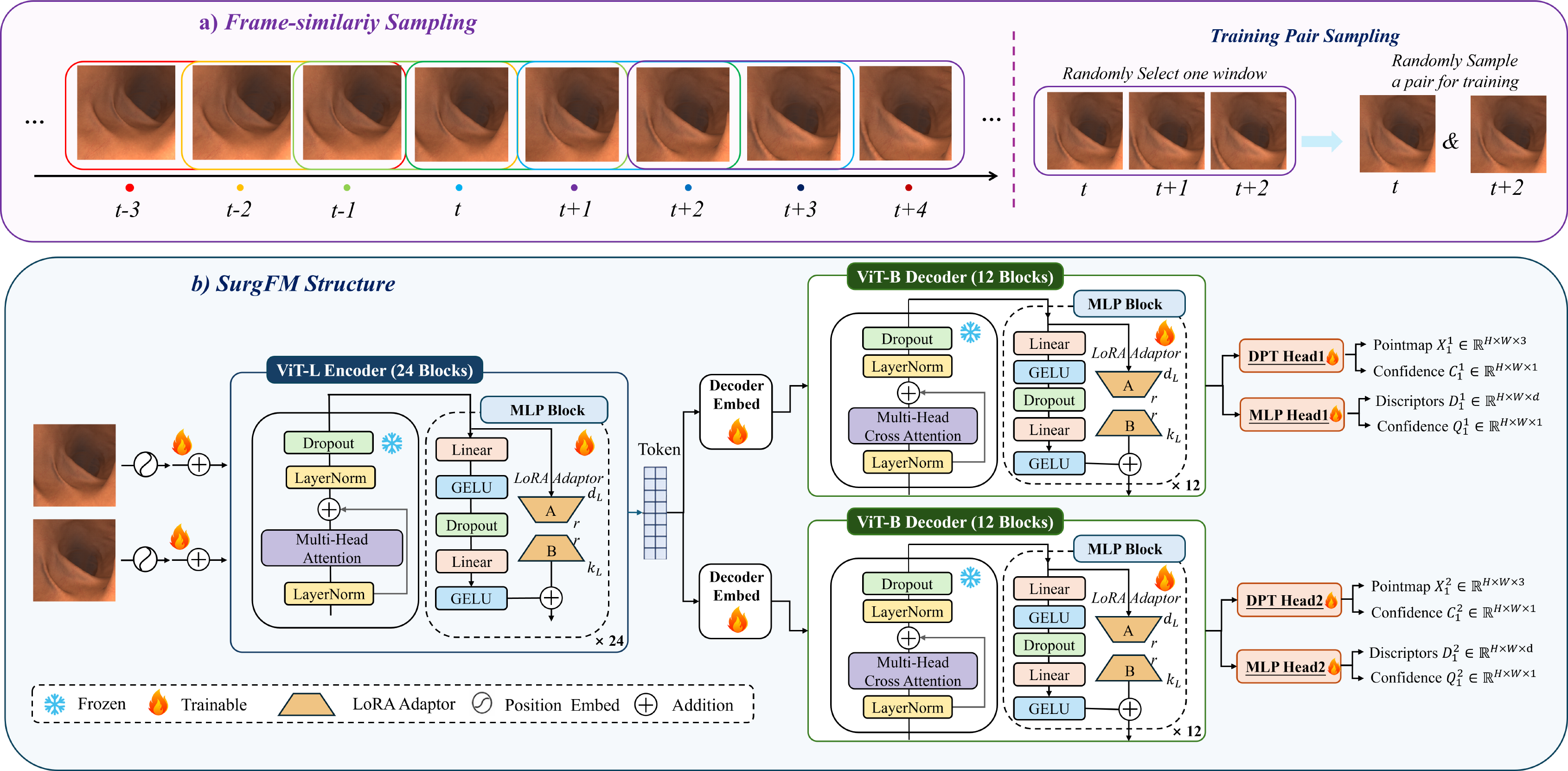 SurgFM Architecture